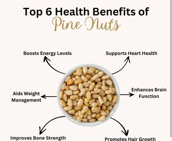 Premium_Pine_Nuts(Chilgoza)