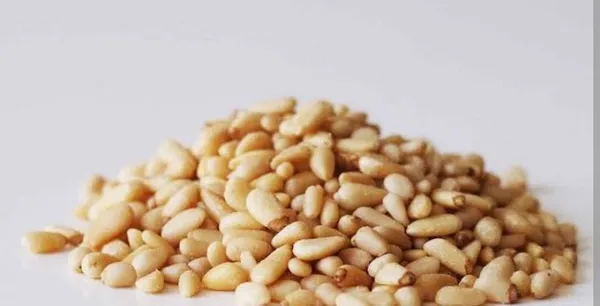 Premium_Pine_Nuts(Chilgoza)