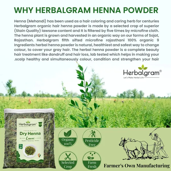 400g_Dry_Henna_Mehandi_Leaves_Organic_Farm_Fresh_Leaves_From_Sojat_Rajasthan_Dark_Stain_For_BAQ_(Body_Art_Quality)_and_Hair