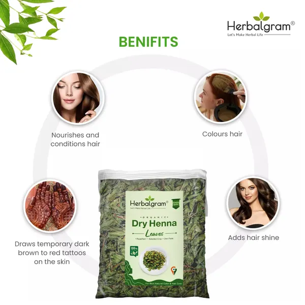 400g_Dry_Henna_Mehandi_Leaves_Organic_Farm_Fresh_Leaves_From_Sojat_Rajasthan_Dark_Stain_For_BAQ_(Body_Art_Quality)_and_Hair