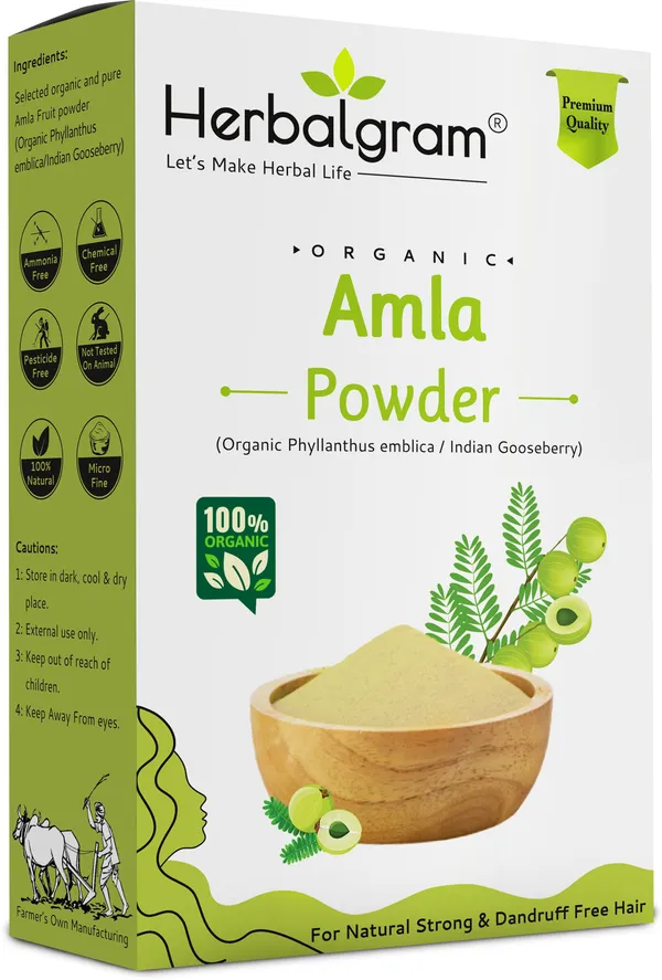 Pack_of_1_Natural_&_Organic_Amla_Powder_Indian_Gooseberry_For_Hair_Care_Mask_(100_G)