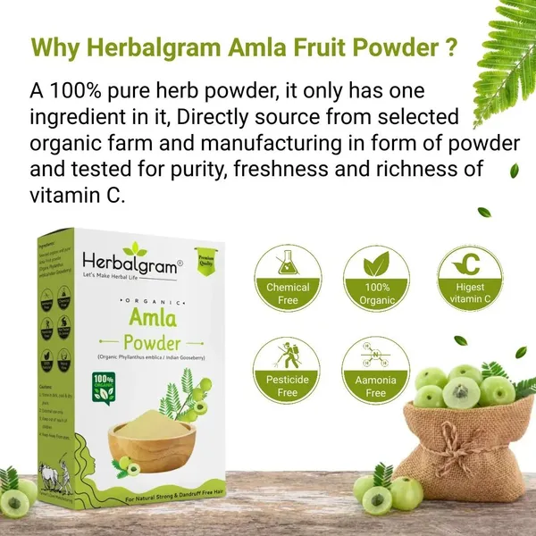 Pack_of_1_Natural_&_Organic_Amla_Powder_Indian_Gooseberry_For_Hair_Care_Mask_(100_G)