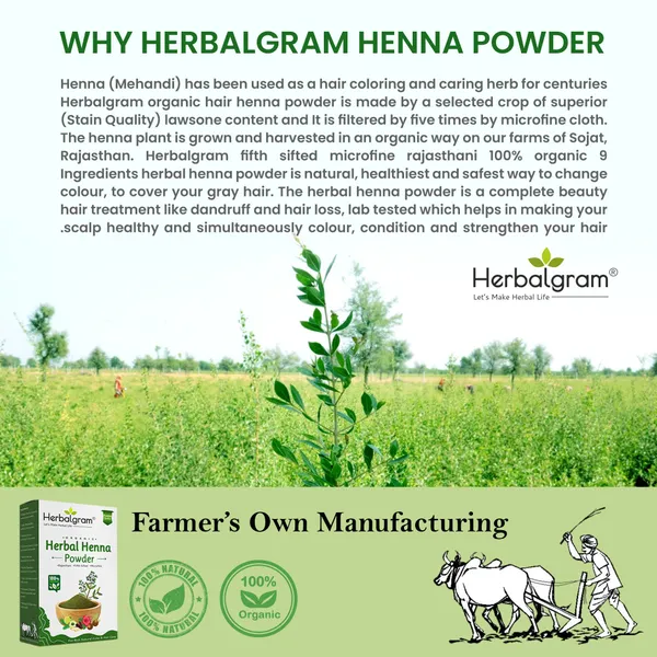 100%_Organic_Rajasthani_Combo_Herbal_Henna_Powder_For_Hair_(300_G)