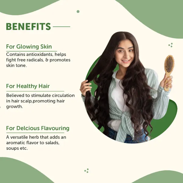 Pack_of_4_Dana_meti_Rosemary_50gm_eack_4_pack__Fenugreek_seeds_&_Rosemary_combo_for_hair_water_spray