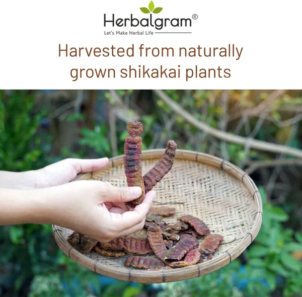 Pack_of_2_Raw_Shikakai_Pods_Hibiscus_Flower_Dry_Combo_Pack_For_Pure_&_Natural_Hair_Care_(200_G)