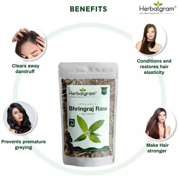 Pack_of_2_Organic_Bhringraj_Raw_Dry_Whole_For_Hair_Growth_(Raw_Form)_-_Combo__(200_G)