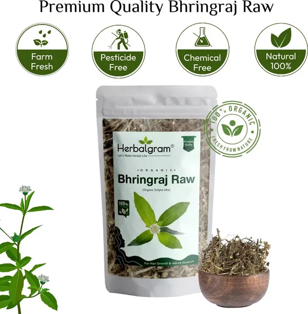Pack_of_2_Organic_Bhringraj_Raw_Dry_Whole_For_Hair_Growth_(Raw_Form)_-_Combo__(200_G)