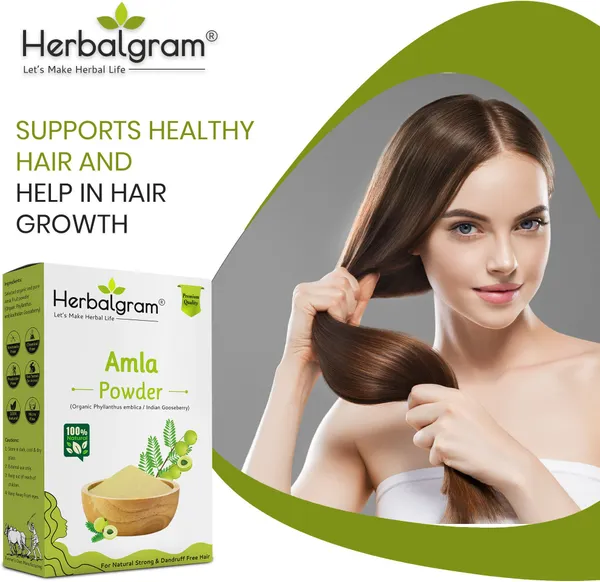 Pack_of_2_Pure_And_Natural_Amla_Powder_For_Hair_Additives_Free_(200_G)