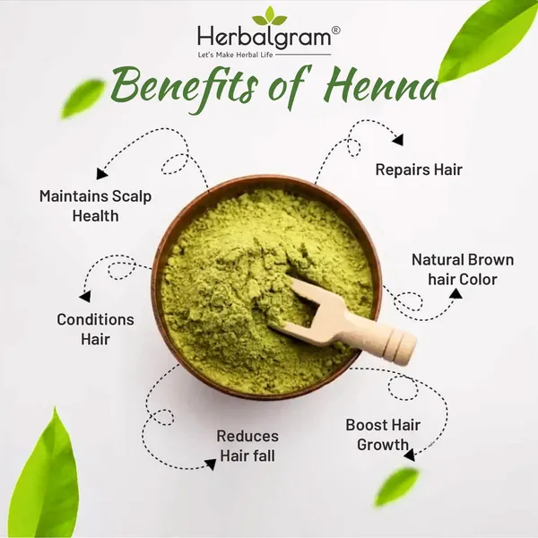 100%_Pure_&_Organic_Henna_Leaf_Powder_Fifth_Filtered_For_Hair_Color_&_Body_Art_(100_G)