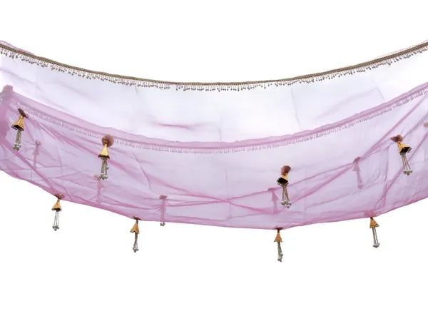 Elegant_Golden_Tassel_Hangings_Bridal_Entry_Chadar