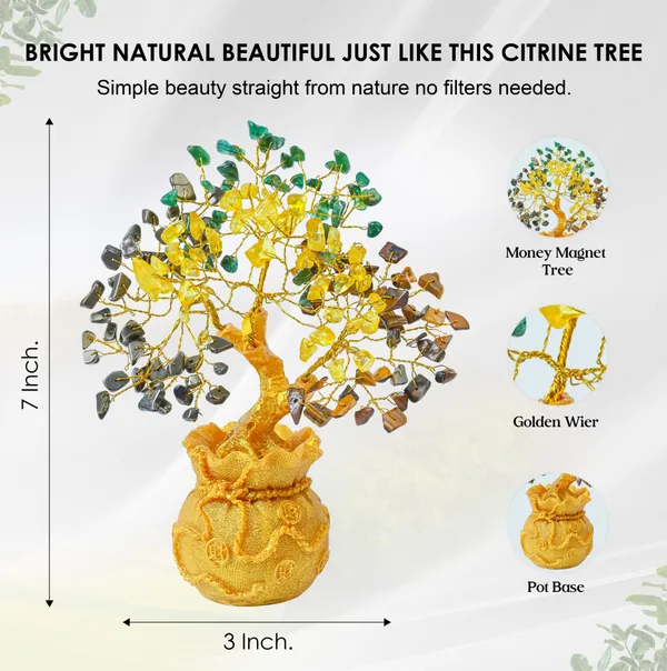 Multicolor_Money_Magnet_Crystal_Tree_Of_Life_(Feng_Shui_Crystal_Tree)_For_Prosperity_&_Positive_Energy_Decor
