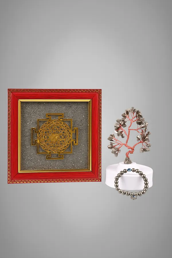 Gold_Pyrite_Shri_Laxmi_Yatra_Frame,_Pyrite_Tree_&_Pyrite_Bracelet