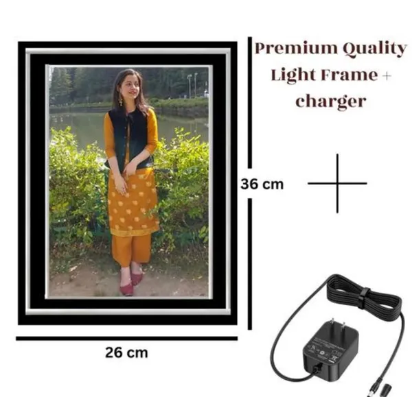 led_frame