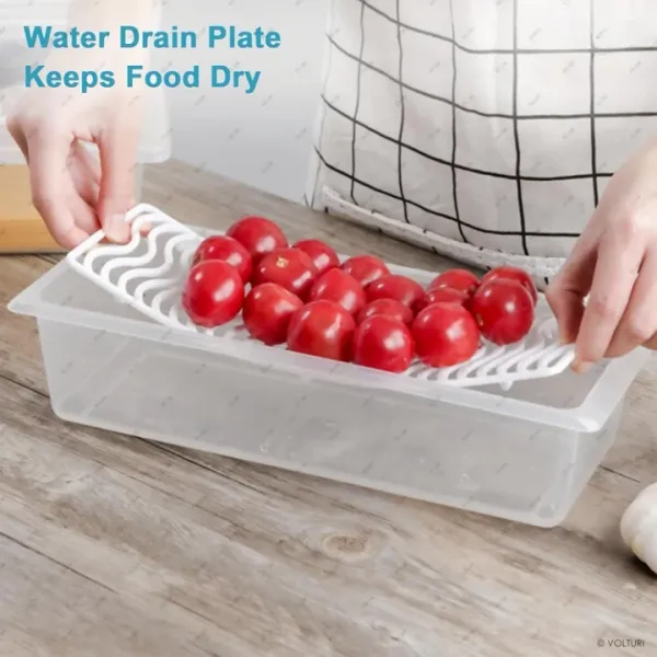 White_Multicolor_Plastic_Premium_Fridge_Container_(Pack_of_12-1200_ml_&_Pack_of_18-1500_ml)