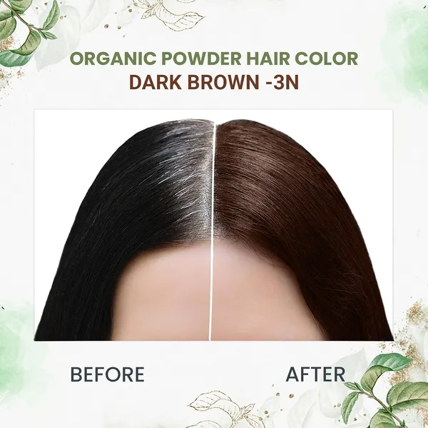 byPureNaturals_100%_Organic_Pure_Natural_Powder_Hair_Color-_120Gm-_3N_Dark_Brown-_Pack_Of_2