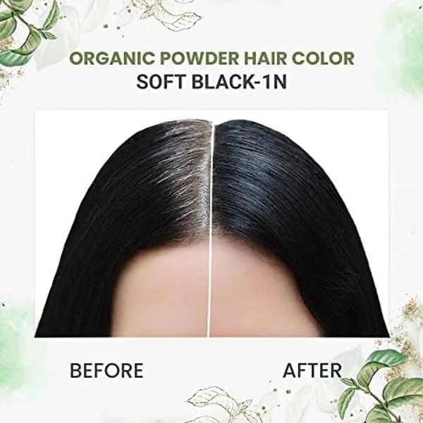 byPureNaturals_100%_Organic_Pure_Natural_Powder_Hair_Color-_60Gm-_2N_Soft_Black-_Pack_Of_2