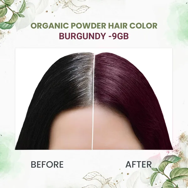 byPureNaturals_100%_Organic_Pure_Natural_Powder_Hair_Color-_120Gm-_9Bg_Burgundy-_Pack_Of_2