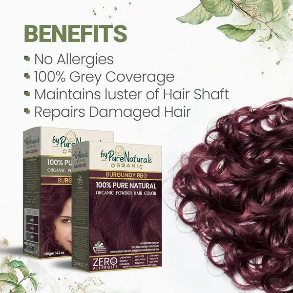 byPureNaturals_100%_Organic_Pure_Natural_Powder_Hair_Color-_120Gm-_9Bg_Burgundy-_Pack_Of_2