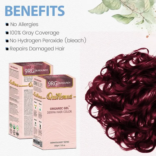 Quikhenna_Clinica_Organic_Gel_Innovative_Derma_Hair_Color_165Gm-_9Rg_Burgundy-_Pack_Of_2