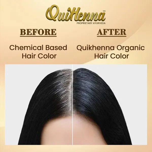 Quick_Henna_Organic_Gel_Hair_Colour_120_Gm-_2N_Soft_Black-_Pack_Of_1
