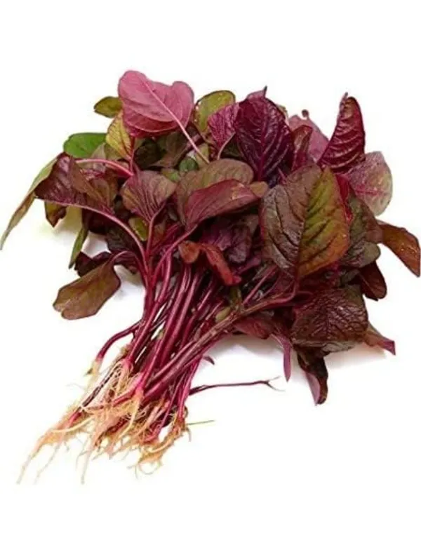 Red_Amaranthus_Seeds_Laal_Saag_Cheera_Red_Spinach_Organic_Leafy_Vegetable_Seeds_For_Home_Garden_Easy_To_Grow_Indoor