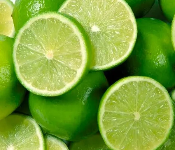 Thai_All_Time_Lemon_Seedless_Lemon_Plant_Nimbu_Plant_Lebu_Plant_All_Time_Hybrid_Lemon_Tree_Plant
