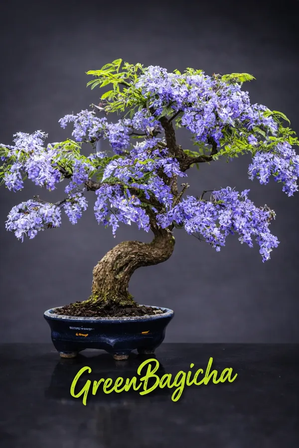 chrysal bonsai dnger Bonsaidnger - Mineralischer NPK Flssigdnger mit Stickstoff