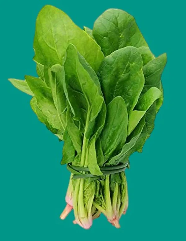 Spinach_-_Organic_Vegetable_Seeds,_Palak_Seeds,_Seeds_Per_Gardening_Indoor_Outdoor_Vegetables_Seeds