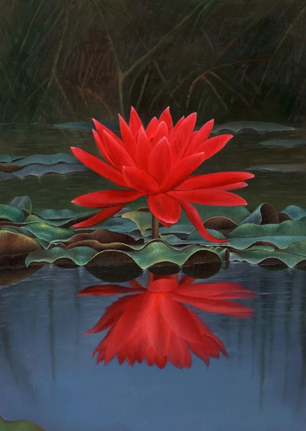 Elegant_Red_Cherry_Lotus_Tuber_Live_Plant_|_Premium_Water_Lotus_for_Bowls,_Pots_&_Ponds