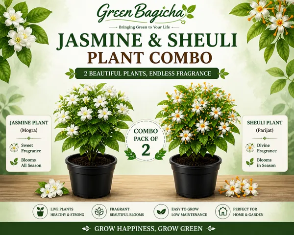 Jasmine_(Mogra)_&_Sheuli_(Parijat)_Plant_Combo_Pack_of_2