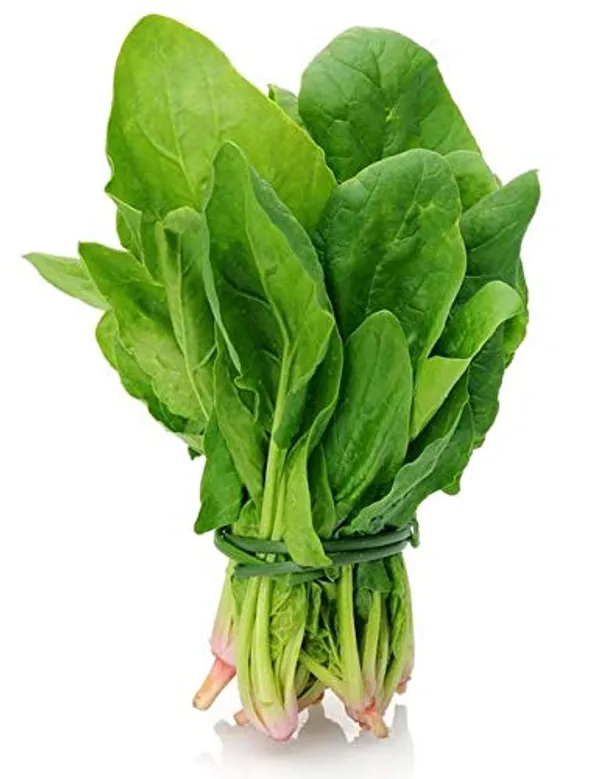 Spinach_Organic_Vegetable_Seeds_Palak_Seeds_Seeds_Per_Gardening_Indoor_Outdoor_Vegetables_Seeds