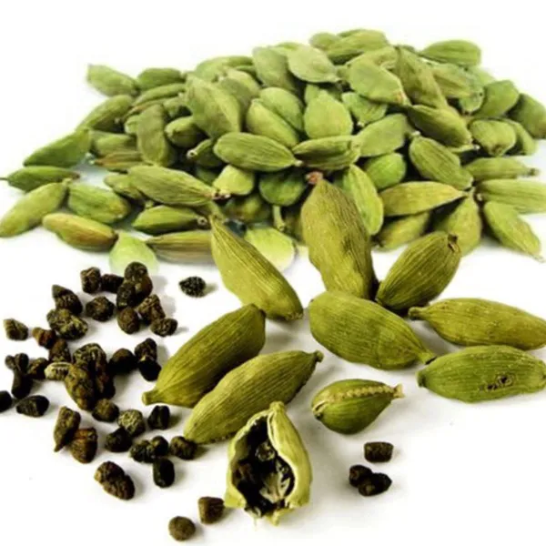 Cardamom_Plant_Elaichi_Plant_Elaichi_Plants_Fruits_Hybrid_1_Healthy_Plant