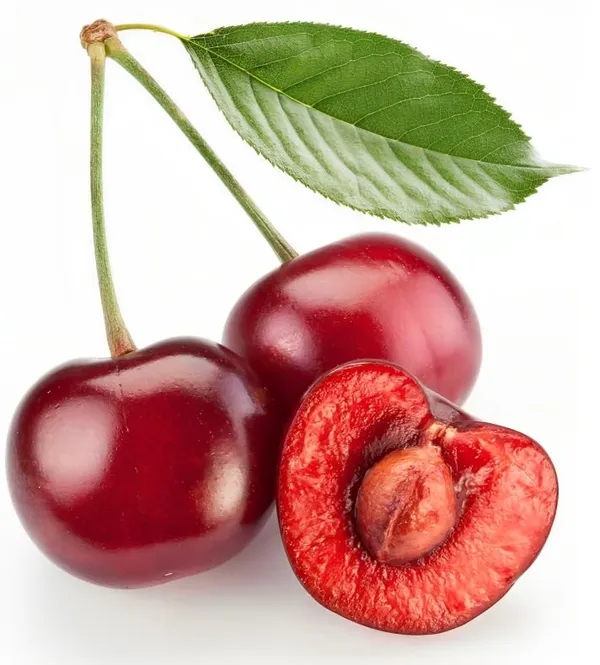 Sylvia_Cherry_Grafted_Clone_Type_Hybrid_2_3_Ft_Height_Healthy_Live_Super_Yielding_Early_Fruiting_Sylvia_Cherry_Fruit_Plant