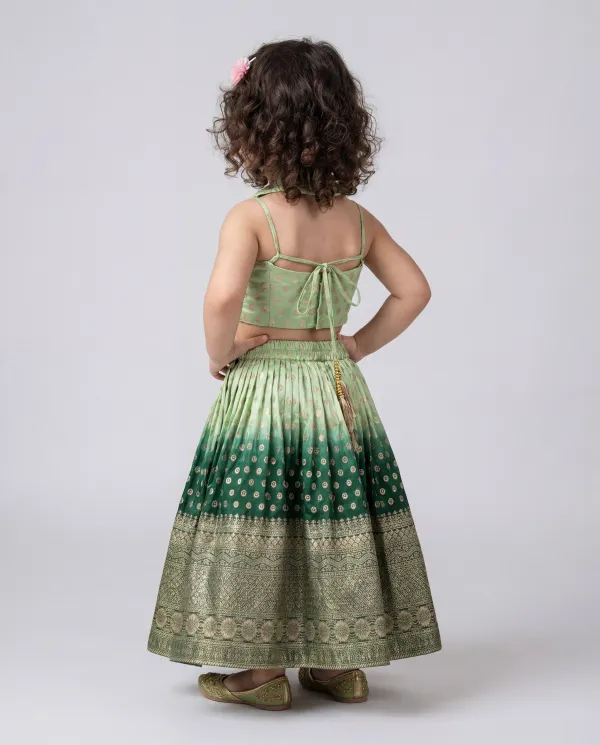 Mint_Green_&_Deep_Green_Premium_Premium_Soft_Silk_&_Cotton_Lining_Girls_Lehenga_Set_For_Girls
