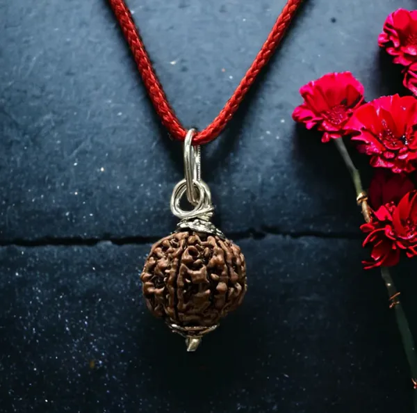 6_Mukhi_Rudraksh_Bead