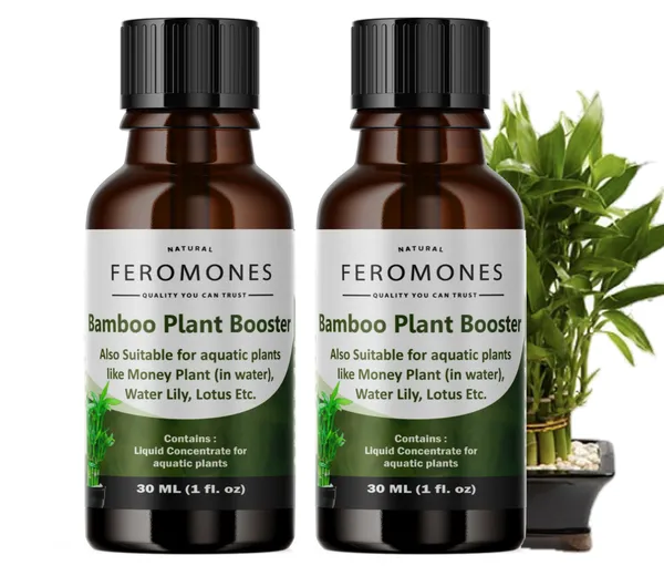 Feromones Pack Of 2 Lucky Bamboo Plant Fertilizer - Liquid Fertilizer For  Aquatic Plants In Home Garden Price in India - Buy Feromones Pack Of 2 Lucky  Bamboo Plant Fertilizer - Liquid