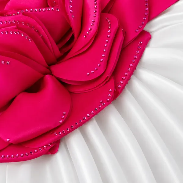 Girls_White_&_Dark_Pink_Floral_Party_Wear_Frock_|_Elegant_Rose_Appliqu_Designer_Dress_for_Kids