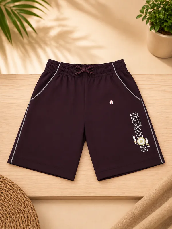 Dolphin_Boys_Printed_Bermuda_Shorts_|_Soft_&_Comfortable_Casual_Wear_Bermuda
