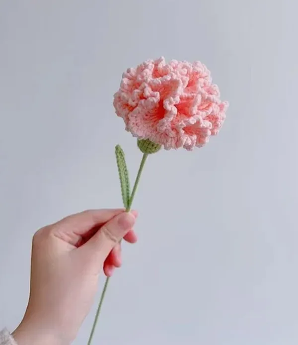 Baby_Crochet_Carnation_Flower