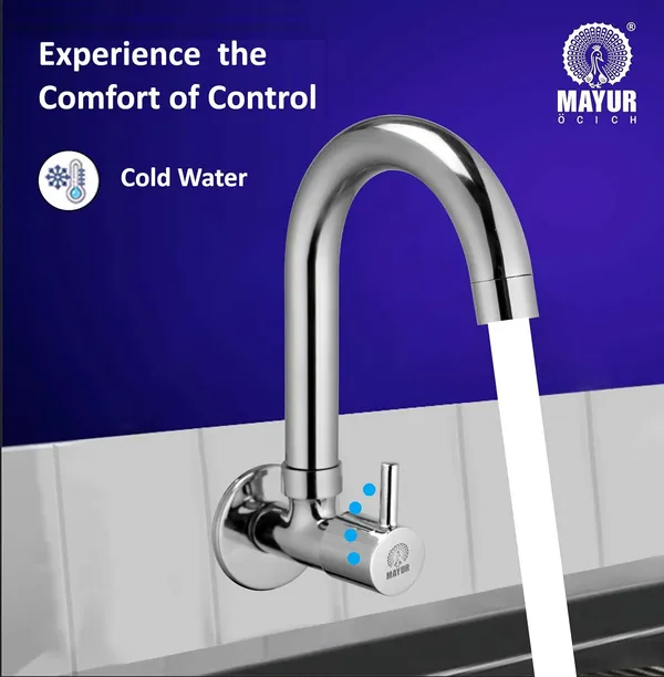 Silver_Brass_Kitchen_Sink_Tap_Faucet_With_360_Swivel_Spout_|_Premium_Chrome_Finish_|_Cold_Water_Foam_Flow_Aerator_|_Easy_Install_|_10-Year_Warranty_(Flare-5501)