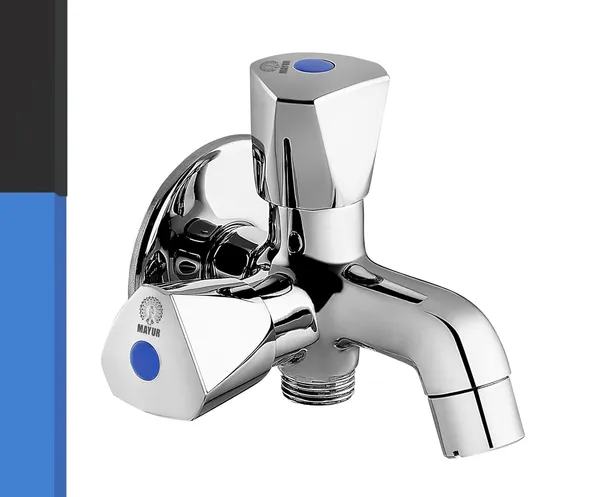 MAYUR_ÖCICH_Brass_2_In_1_Bib_Tap_For_Bathroom_With_Wall_Flange_10_Years_Warranty_+
