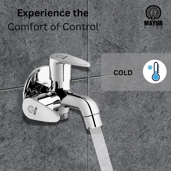 MAYUR_ÖCICH_Brass_2_In_1_Bib_Tap_For_Bathroom_With_Wall_Flange_10_Years_Warranty_+