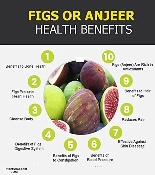 100%_Pure_And_Organic_Dried_Afghani_Anjeer_Figs_400_G__And_Fat_Free_And_Non_Gmo_Dried_Figs_Pack_Of_1
