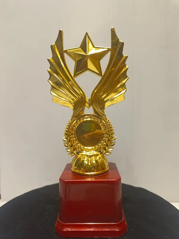 Golden_Plastic_Trophy_For_Corporate_Award_,_Star_Trophy_,_Sports_Trophy