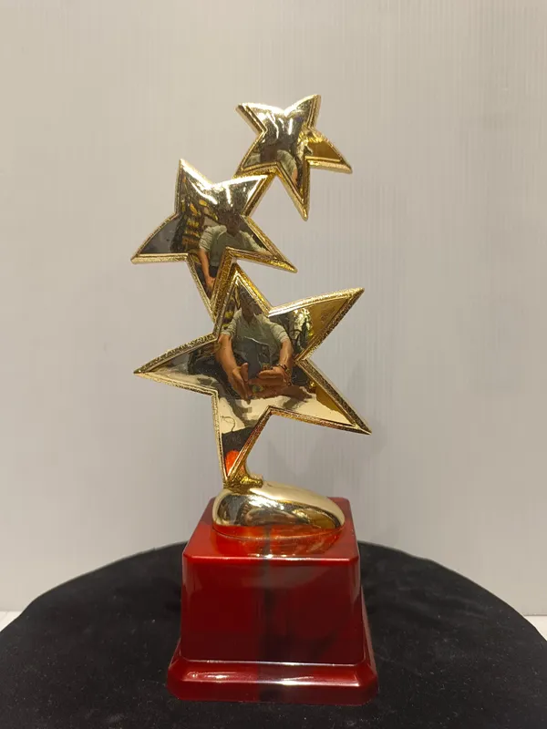 Golden_Plastic_Trophy_For_Corporate_Award_,_Star_Trophy_,_Sports_Trophy