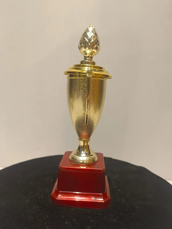 Golden_Plastic_Trophy_For_Corporate_Award_,_Sports_Trophy_,_Cup