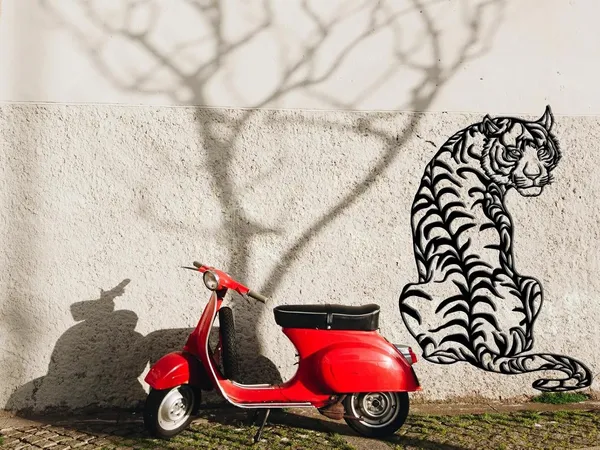 Black_Metal_Tiger_Wall_Decor_|_58L_X_40W_Cm