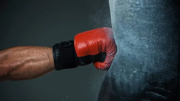 JJJONEX_Punching__Boxing_Kit_Gold_(Red,_36_)