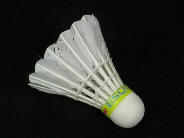JJ_JONEX_Shuttlecock_Esquire_(Wos)