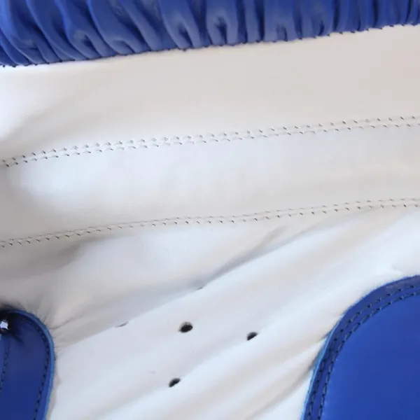 JJ_JONEX_Boxing_Gloves_Fight_BLUE